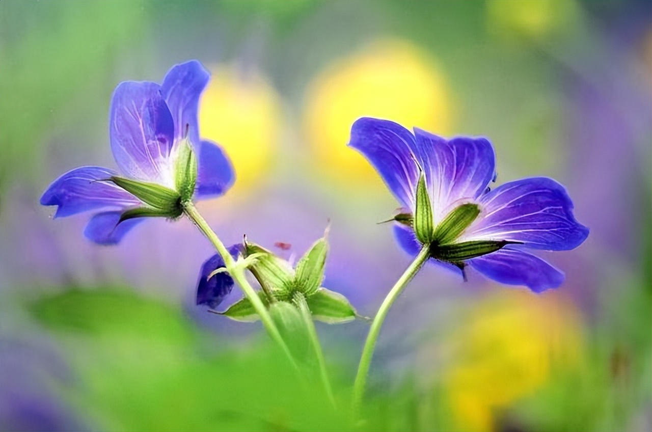 与人相处时应懂得的四句话,人与人交流的七句话