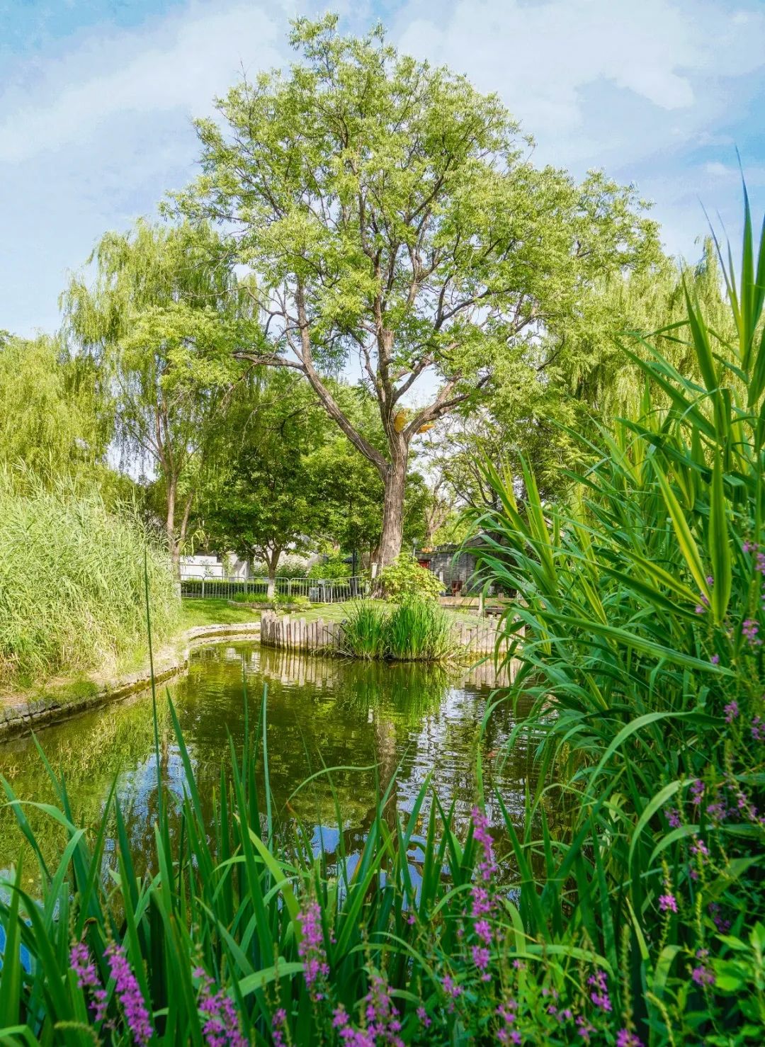 蓝天净土碧水,蓝天碧水净土昆明