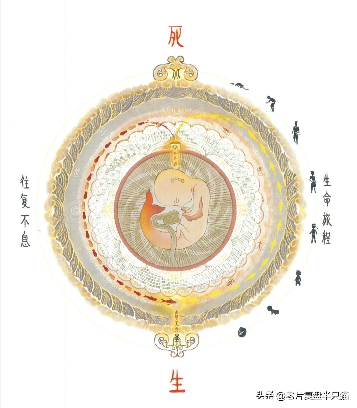 中国国漫大鱼海棠最后独白,国漫大鱼海棠深度解说