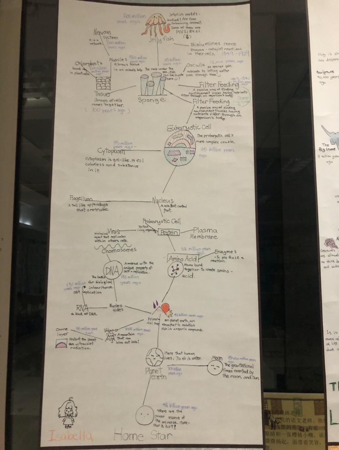 上海协和小学为什么招生那么少,上海闵行区协和小学