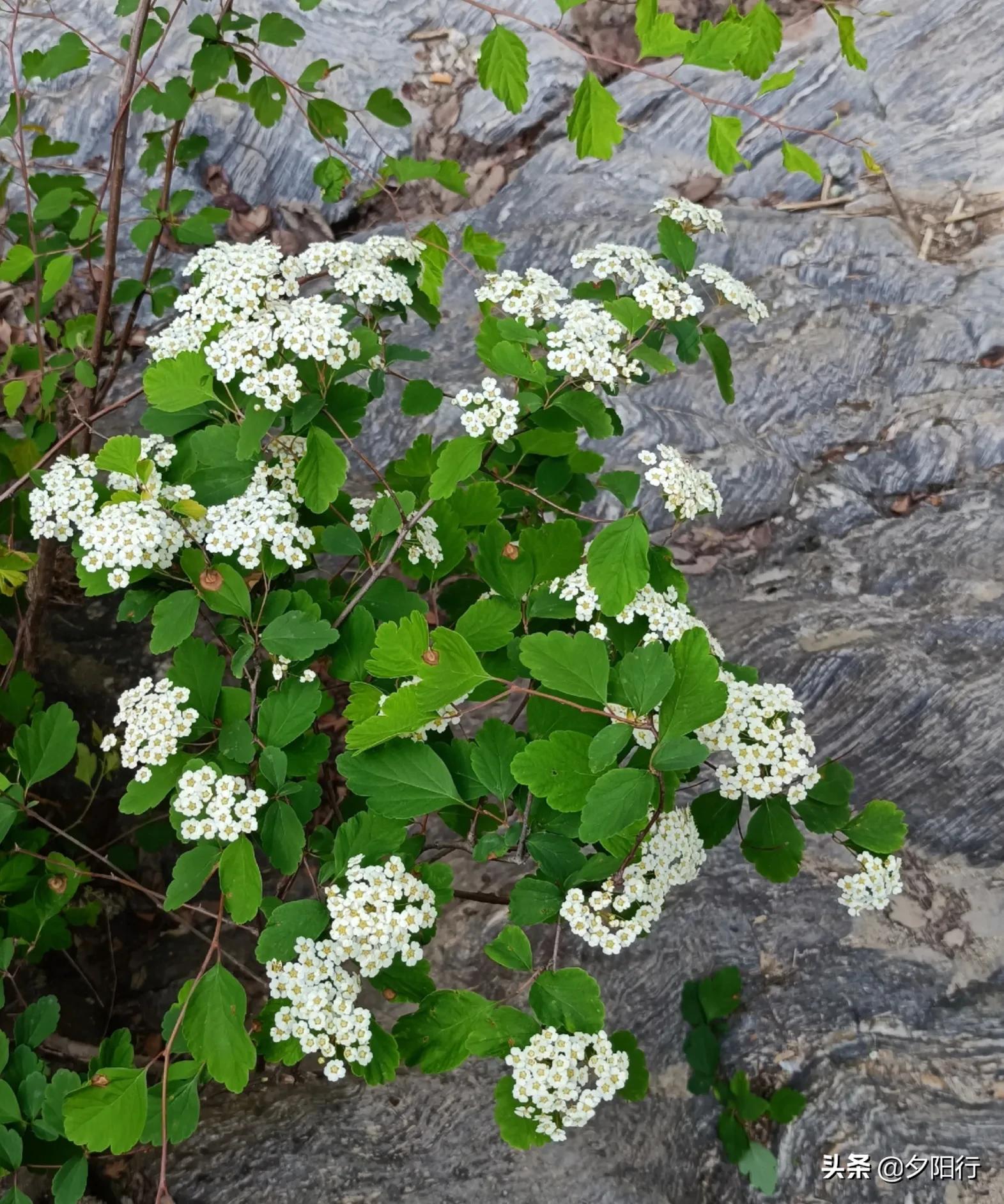 金龙峡大峡谷一日游攻略,金龙峡免费徒步