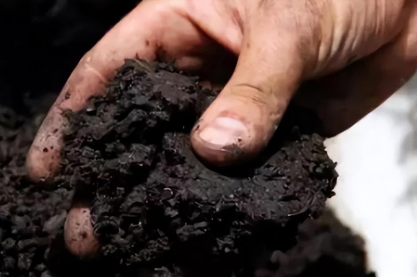 是谁在砸中国人的饭碗?400年才形成的黑土,4元一斤在网上被盗卖