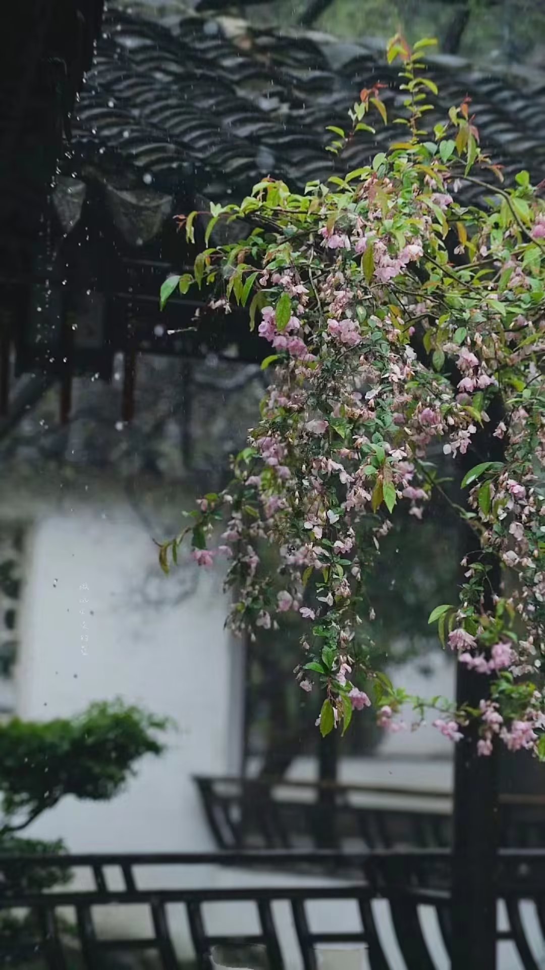 健康开心的活着是人生的最美境界,健康的活着适当的忙着开心的活着