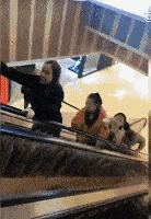 千万不要轻易穿抹胸吃火锅！: