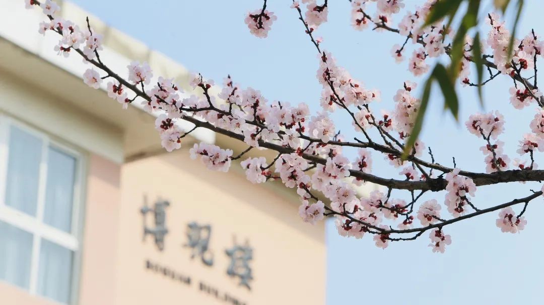 新中国第一批十大高校,中国第一个高校