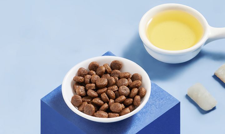 比乐狗粮和麦富迪双拼,比瑞吉和麦富迪狗粮怎么样