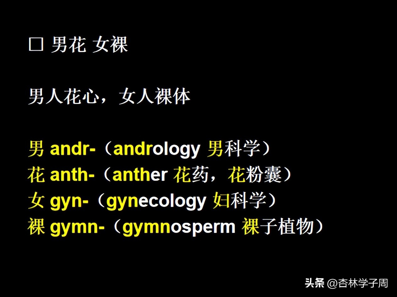 泰坦尼克号全剧对白英文,泰坦尼克号电影中所有单词