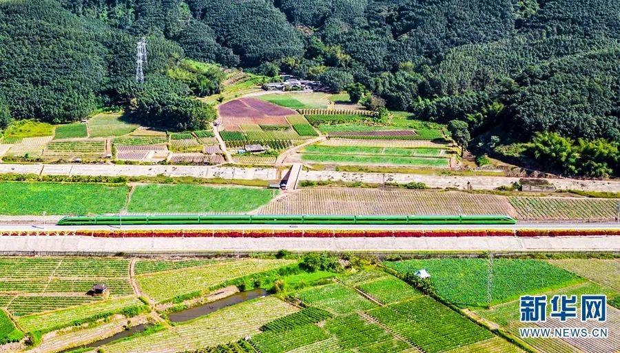 开通抖音一百天,中老铁路开通100天成绩很亮眼