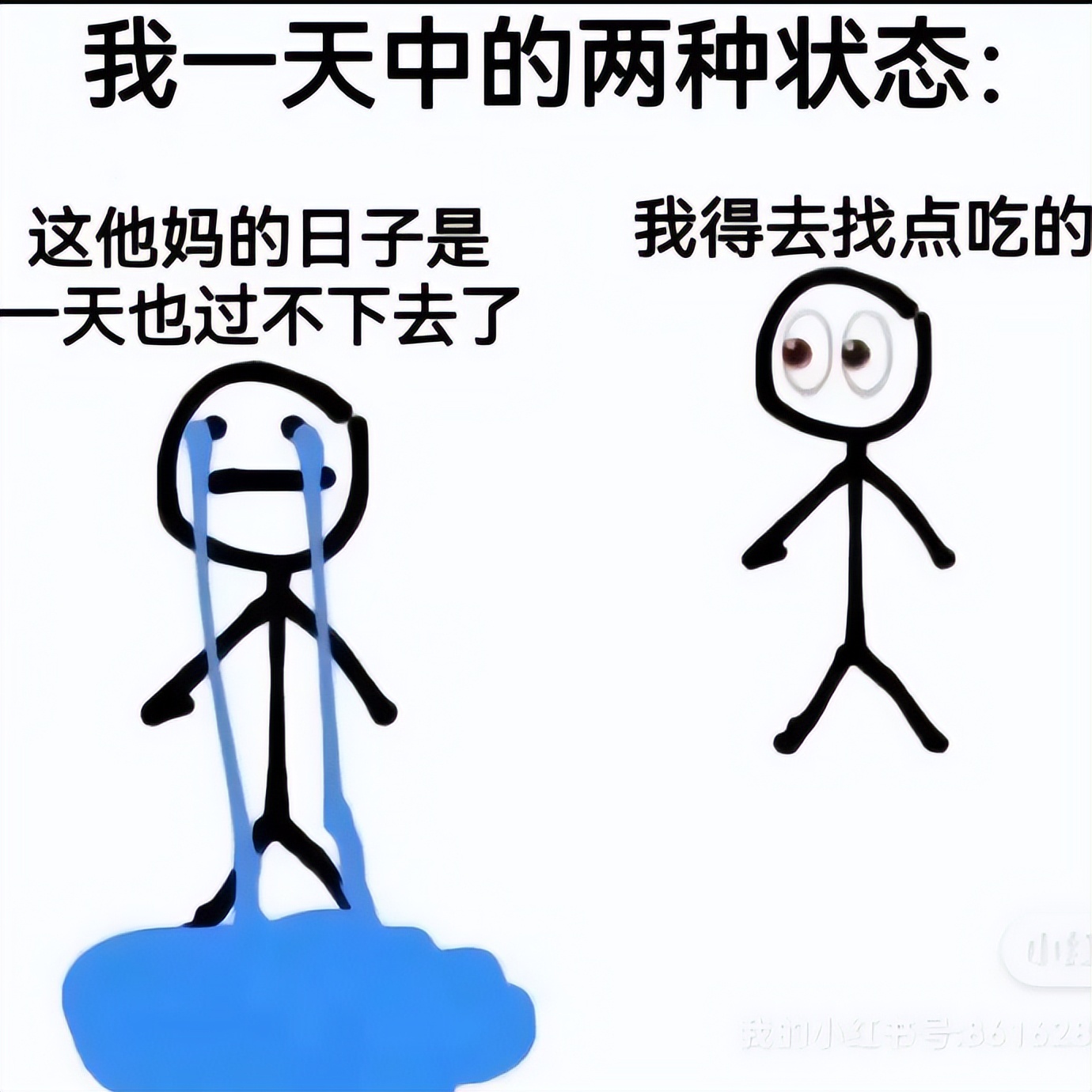 没十年工龄背不出这通勤包|冷段子2520去年今日2162