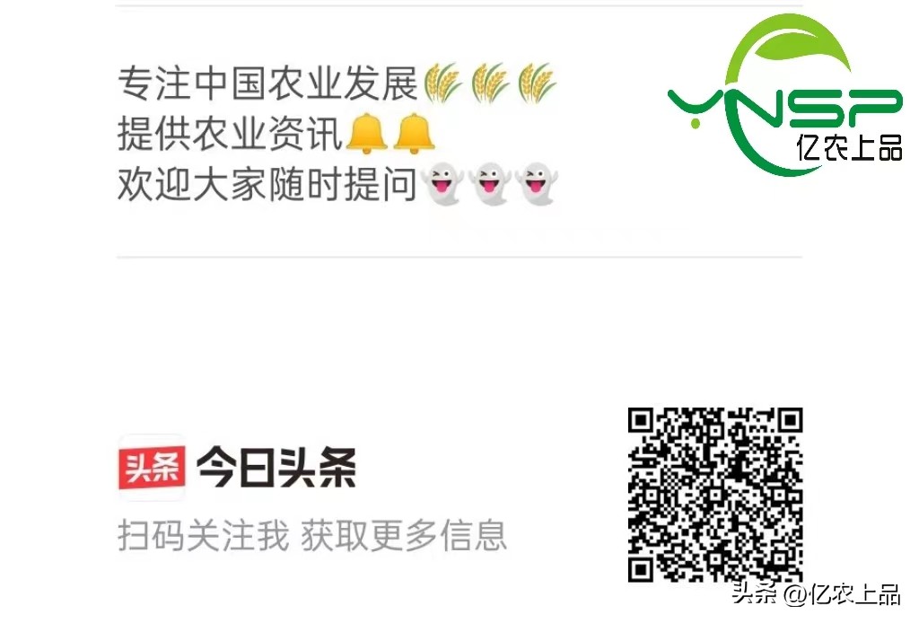 打什么药预防梨树二次开花,梨树冒新芽怎么预防