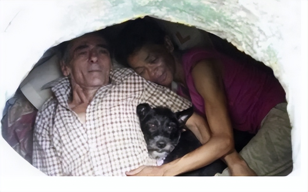 美国老鼠泛滥死了多少人,美国下水道老鼠