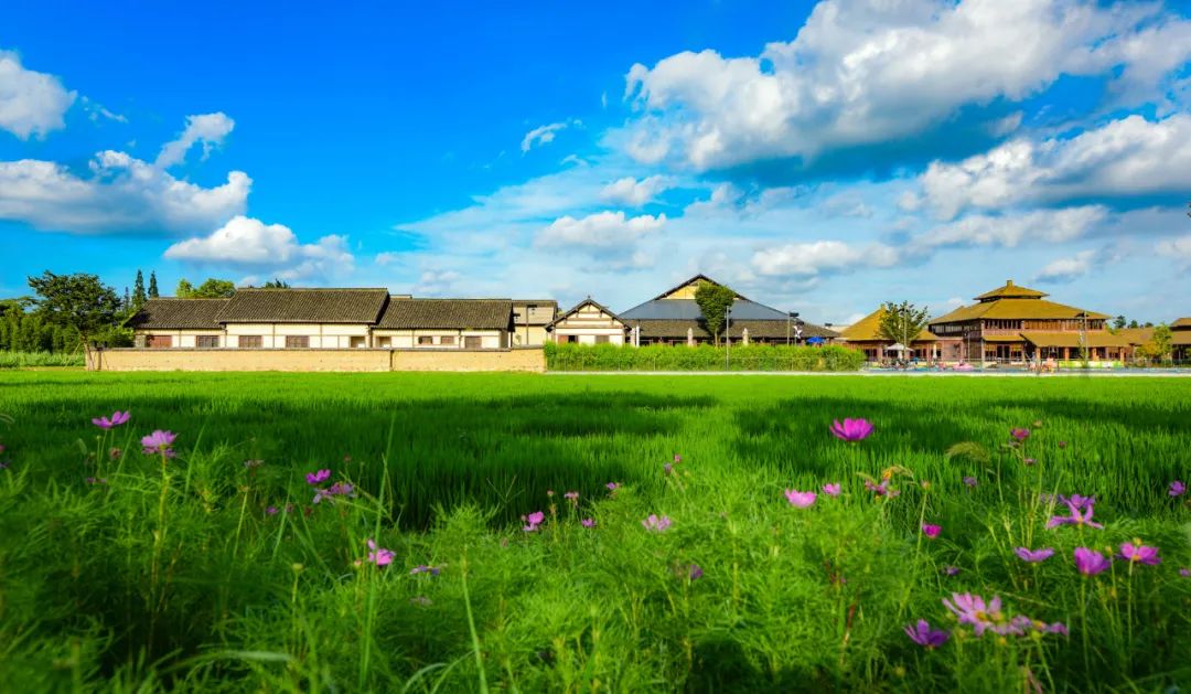 乌镇游玩攻略必去的地方,乌镇里免费的宝藏景点