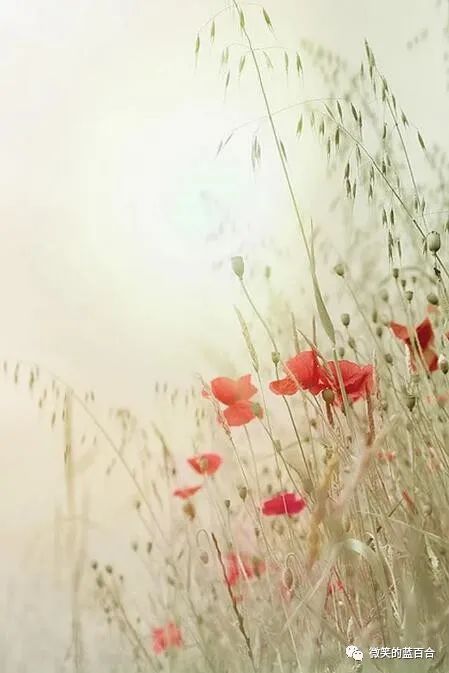 人心知耻,方能善有所为,恶有所止