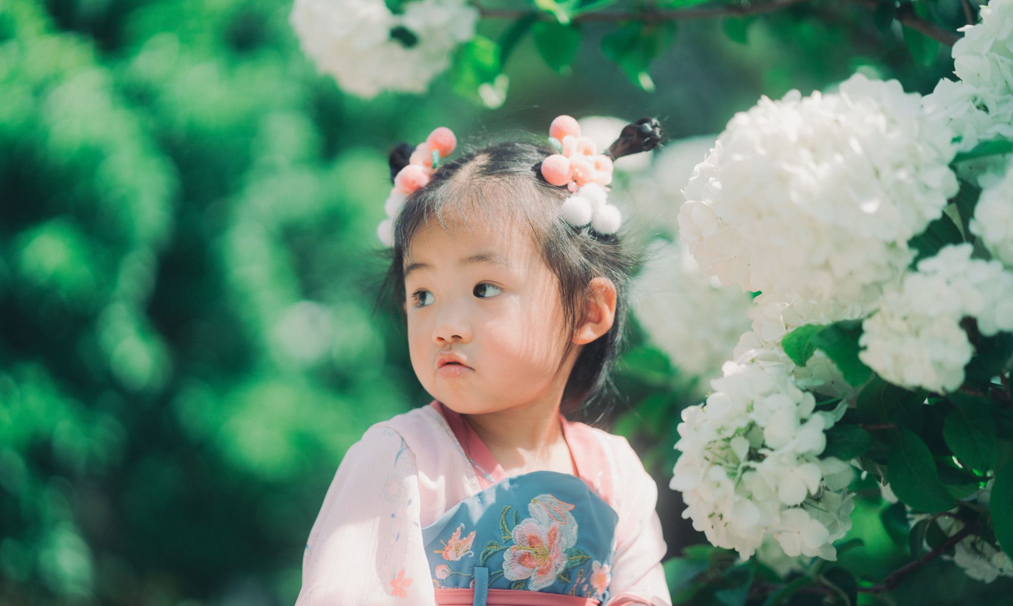 索尼85f1.8微单镜头详情,索尼微单35mmf1.4镜头推荐