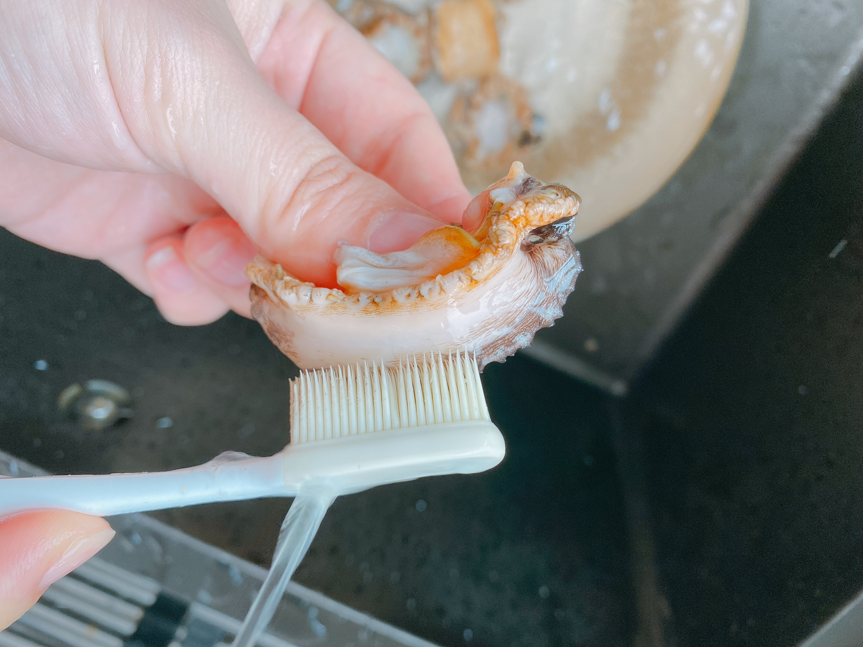 咸香金汤鲍鱼做法,鲜鲍鱼咸香