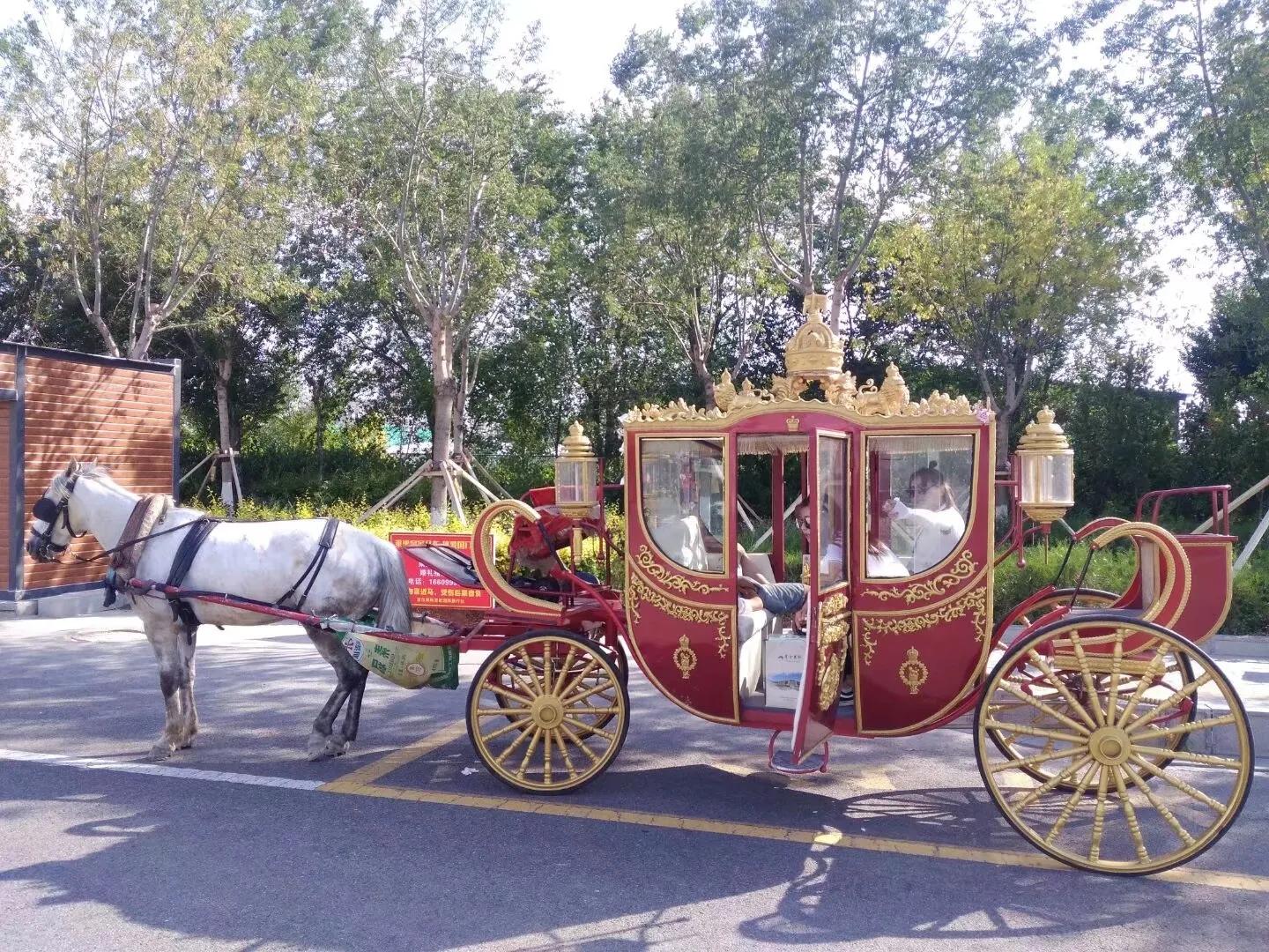 西行漫记视频,西行特克斯八卦城