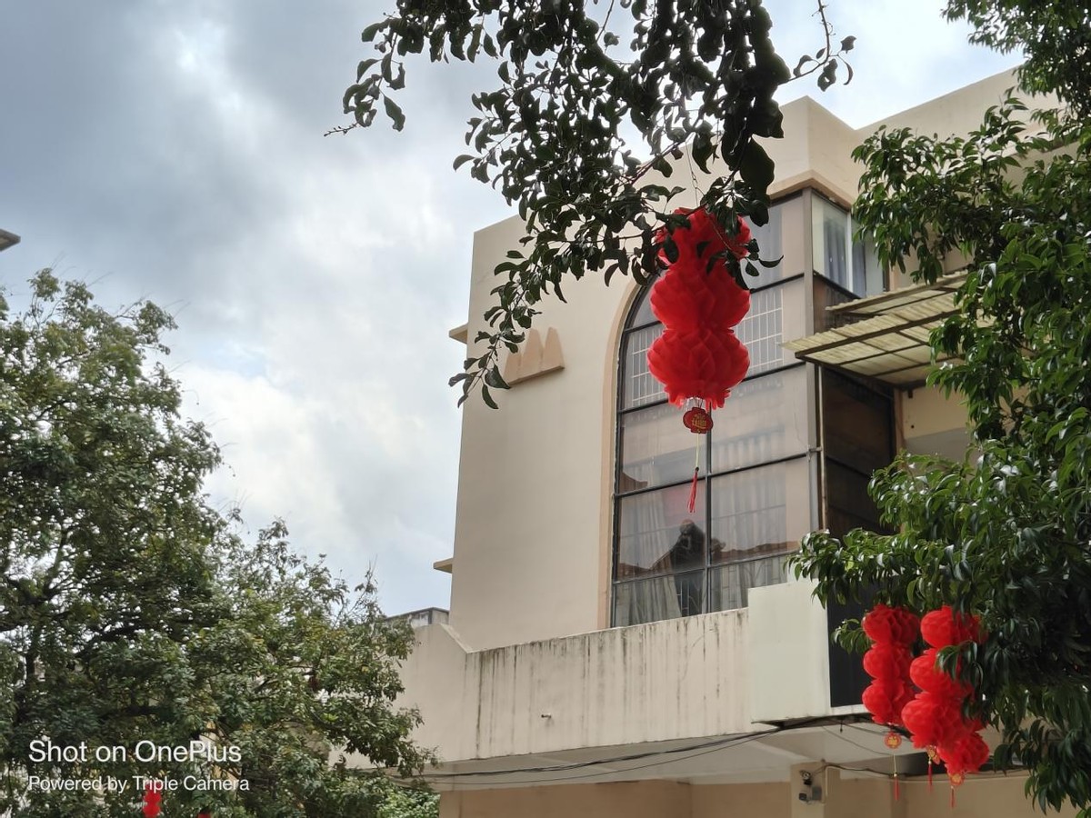 一加ace2对比iphone14promax,一加ace2pro和苹果14promax拍照