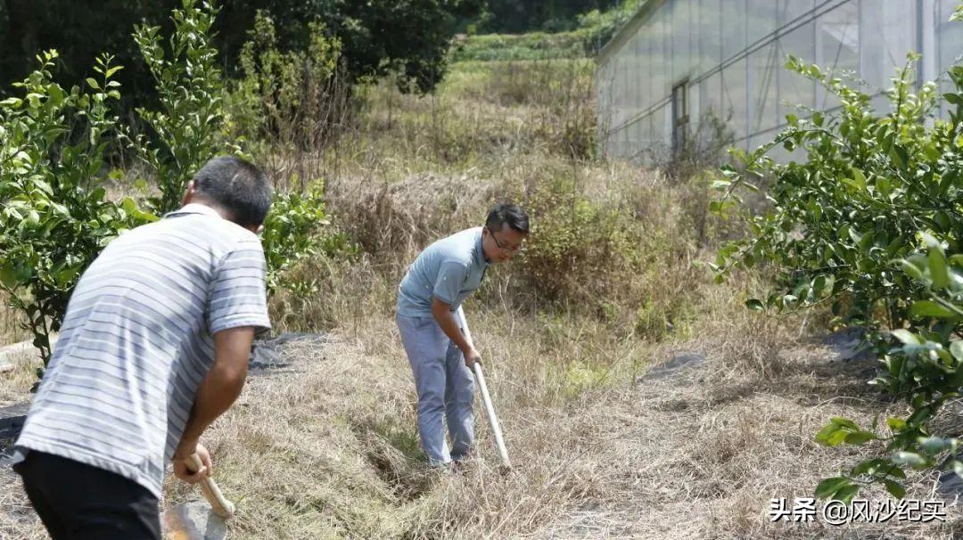 江西高考夺刀少年救人,夺刀少年拒绝清华大学破格录取