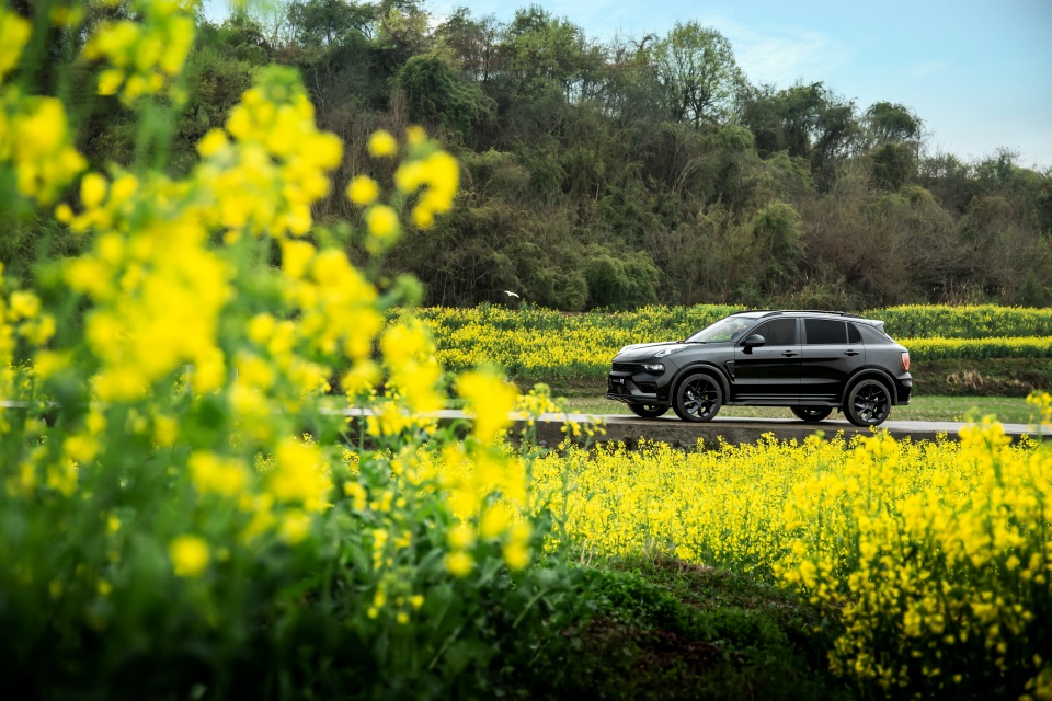 高速老是堵车为何还限速,高速为啥总提示超速