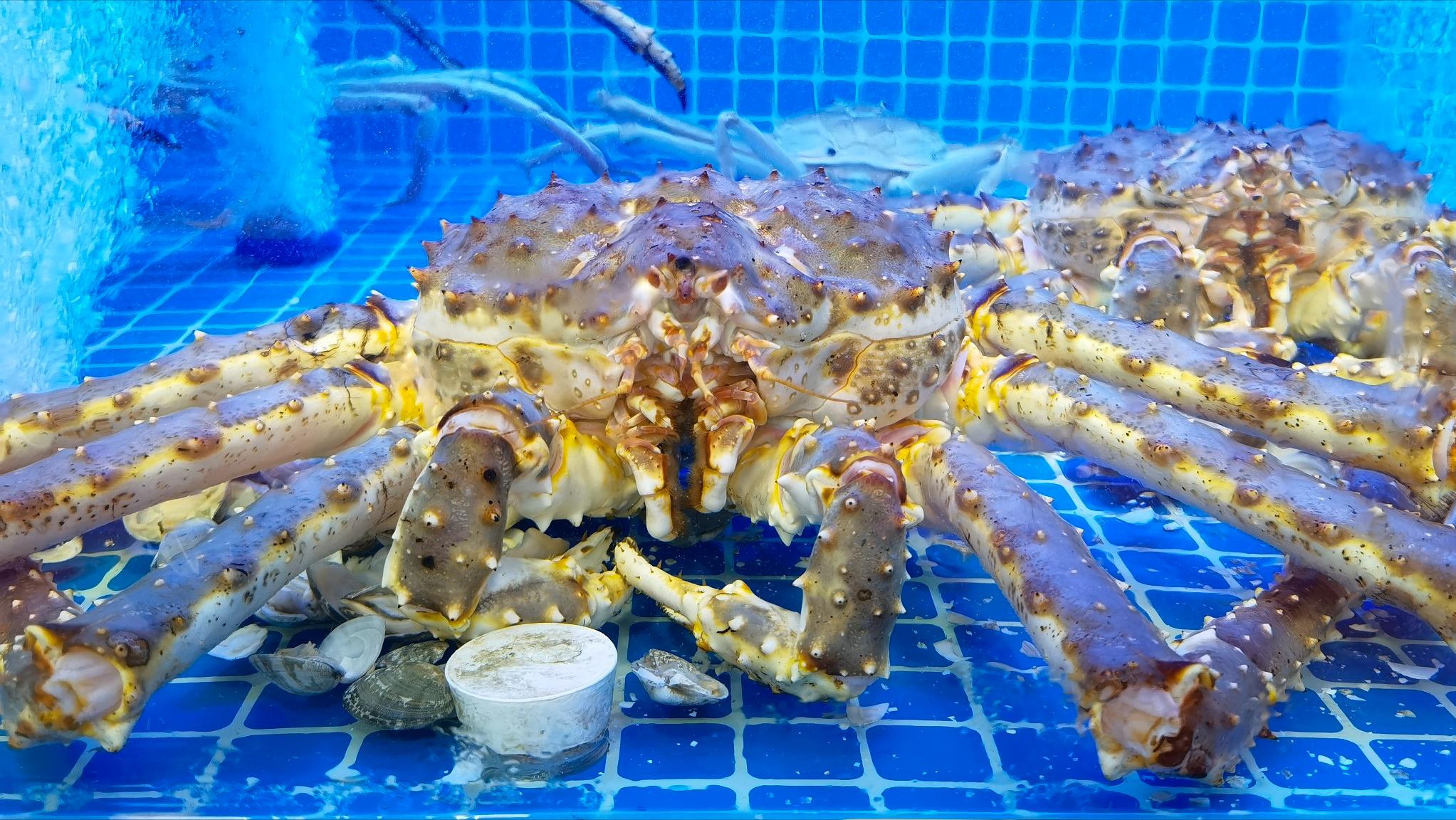 新鲜海鲜店加盟店排行榜,新鲜海鲜加盟连锁店