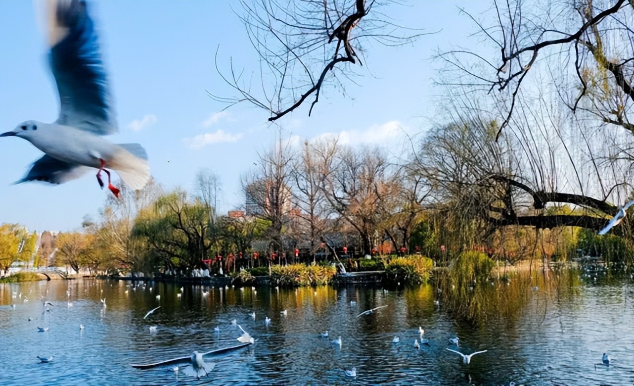 国内哪个城市适合夏天避暑十几度,夏天避暑最凉快的城市是哪个