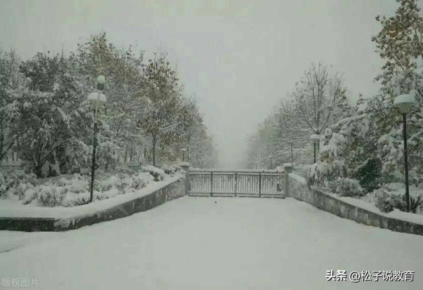 山东各地方学院,山东七所学院哪个好