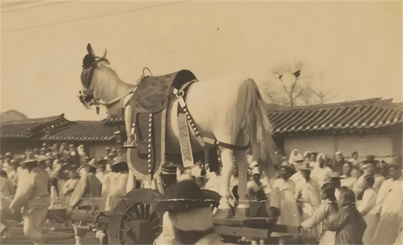 为什么中亚地区有大量朝鲜族人,有家而不能回的民族