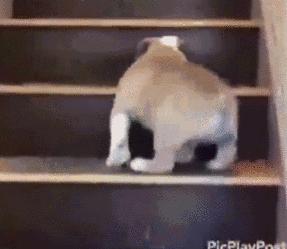 男人最应该锻炼的肌肉,男人最适合做什么锻炼