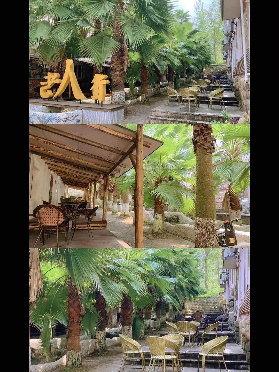 重庆主城周末玩耍推荐,重庆周末爬山景点推荐