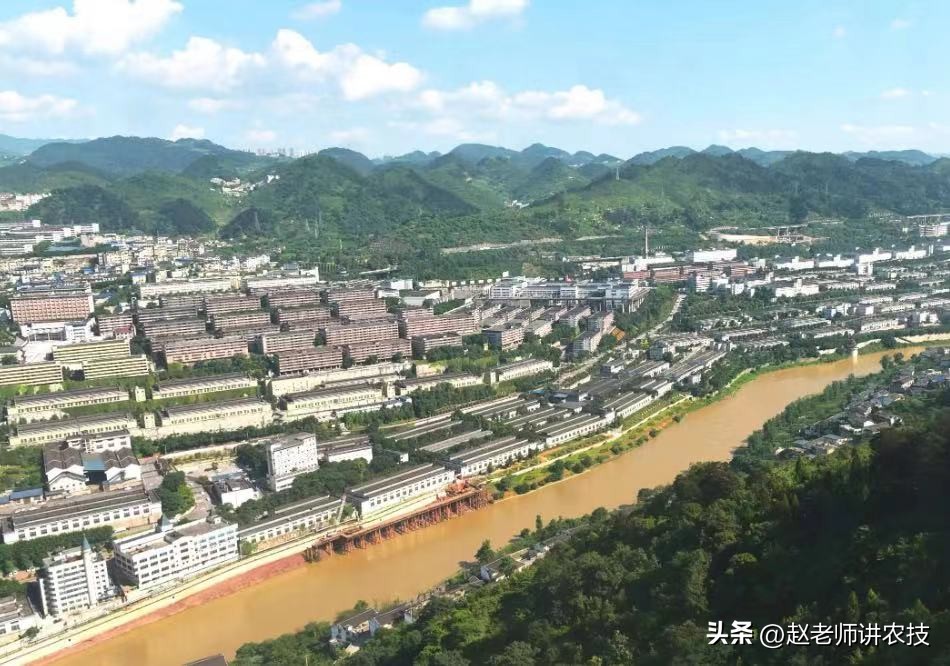 白酒放了十多年好喝吗,白酒有保质期吗一般能存放多久呢