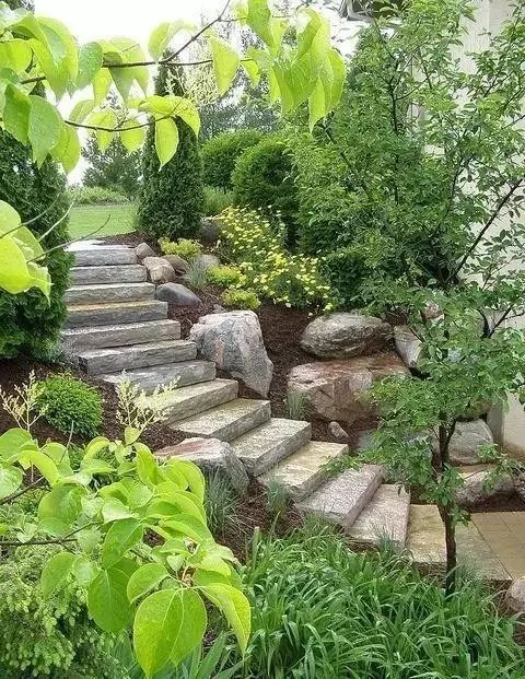 大山里捡回来的石头,大山里的石头块