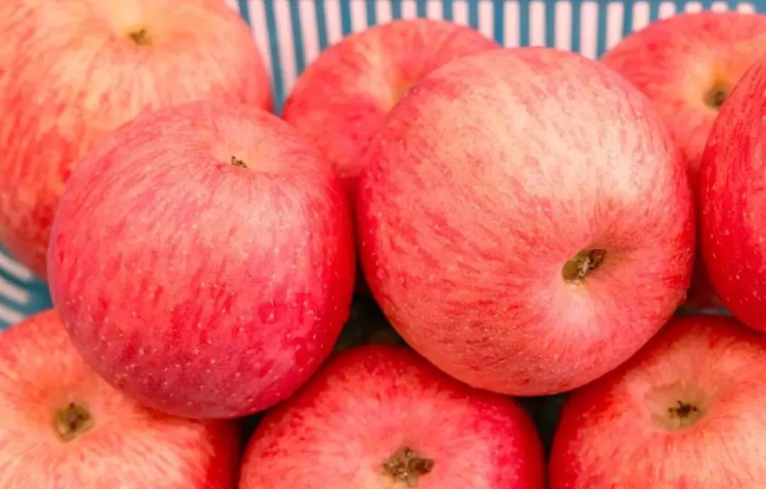 全国公认最好吃的苹果,什么苹果甜口感好吃又营养