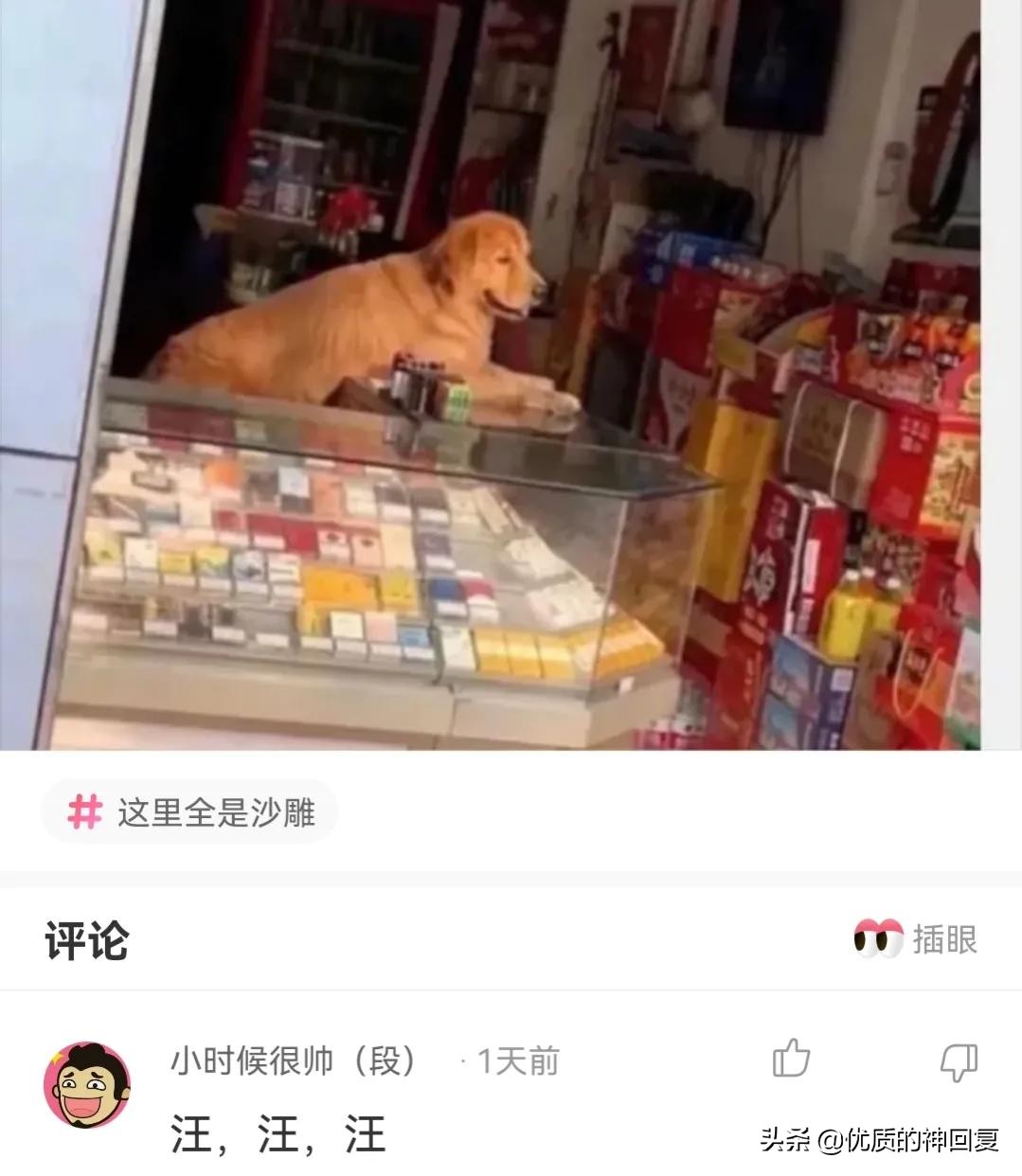 你知道衣服上的字什么意思吗,女生衣服上的字母含义