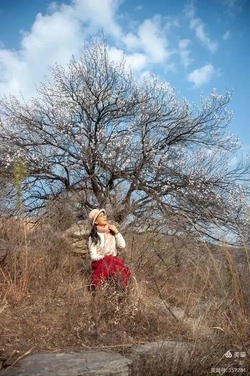 春天的足迹朗诵,春天的足迹分享