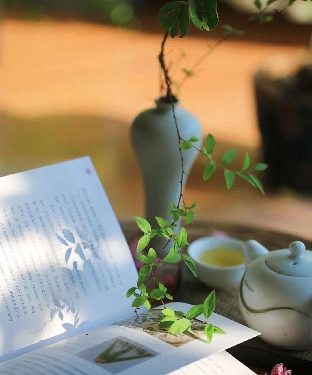 日本主妇生活小窍门,日本主妇节俭秘籍