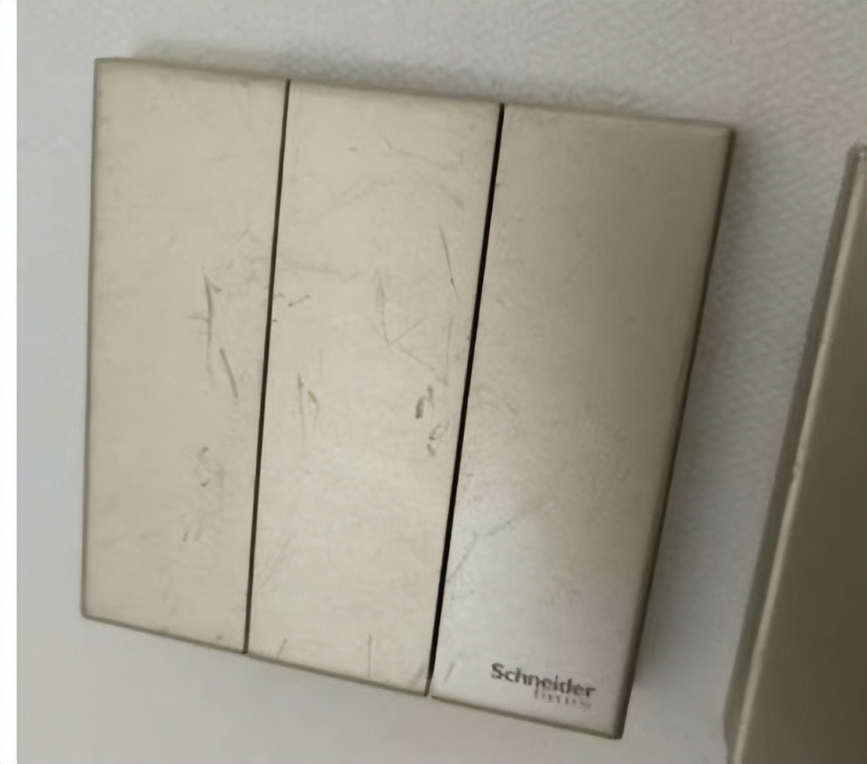 地板砖墙面发霉,地板发霉发黑墙没事