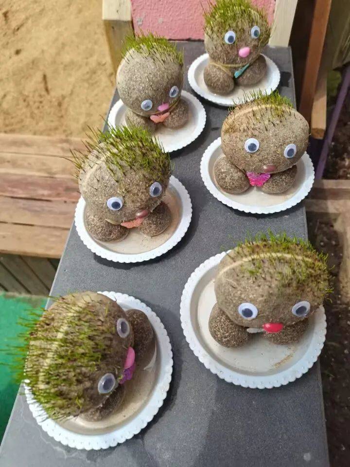 桐乡市庆安乐儿堡幼儿园,浙江省桐乡市庆安乐儿堡幼儿园