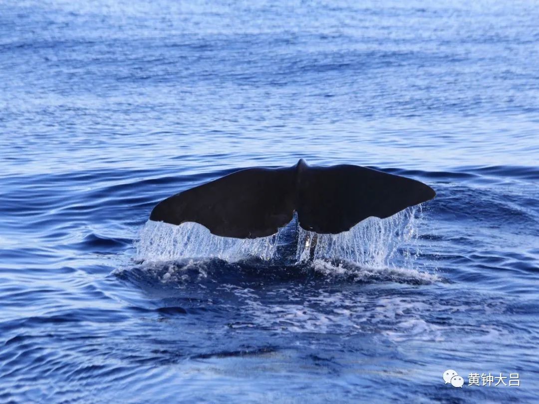 2011年台湾自由行随记之六,2015台湾自由行游记