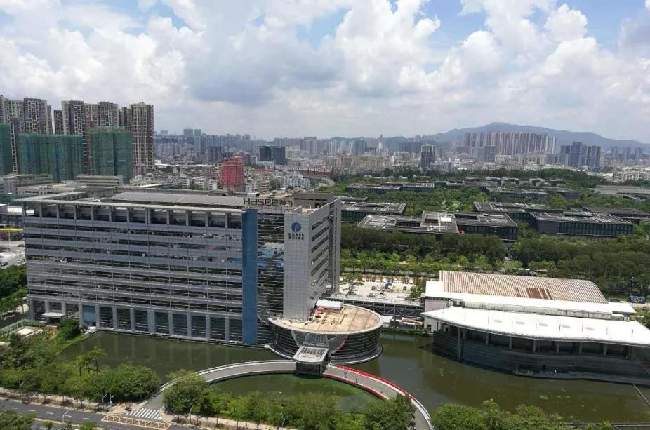 坂田为什么这么强,坂田好不好