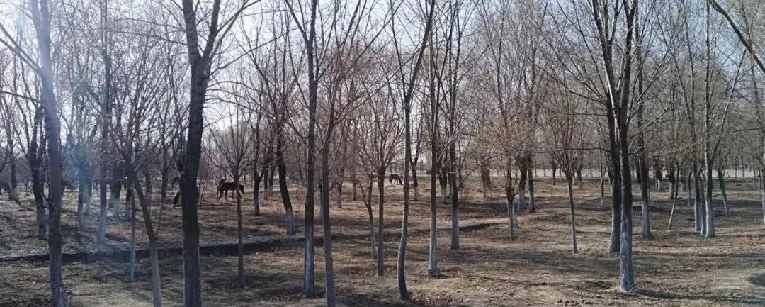 原创|2022迟到的春天之约