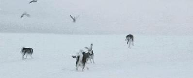 女孩子问我404是什么意思,女孩子说404是什么意思