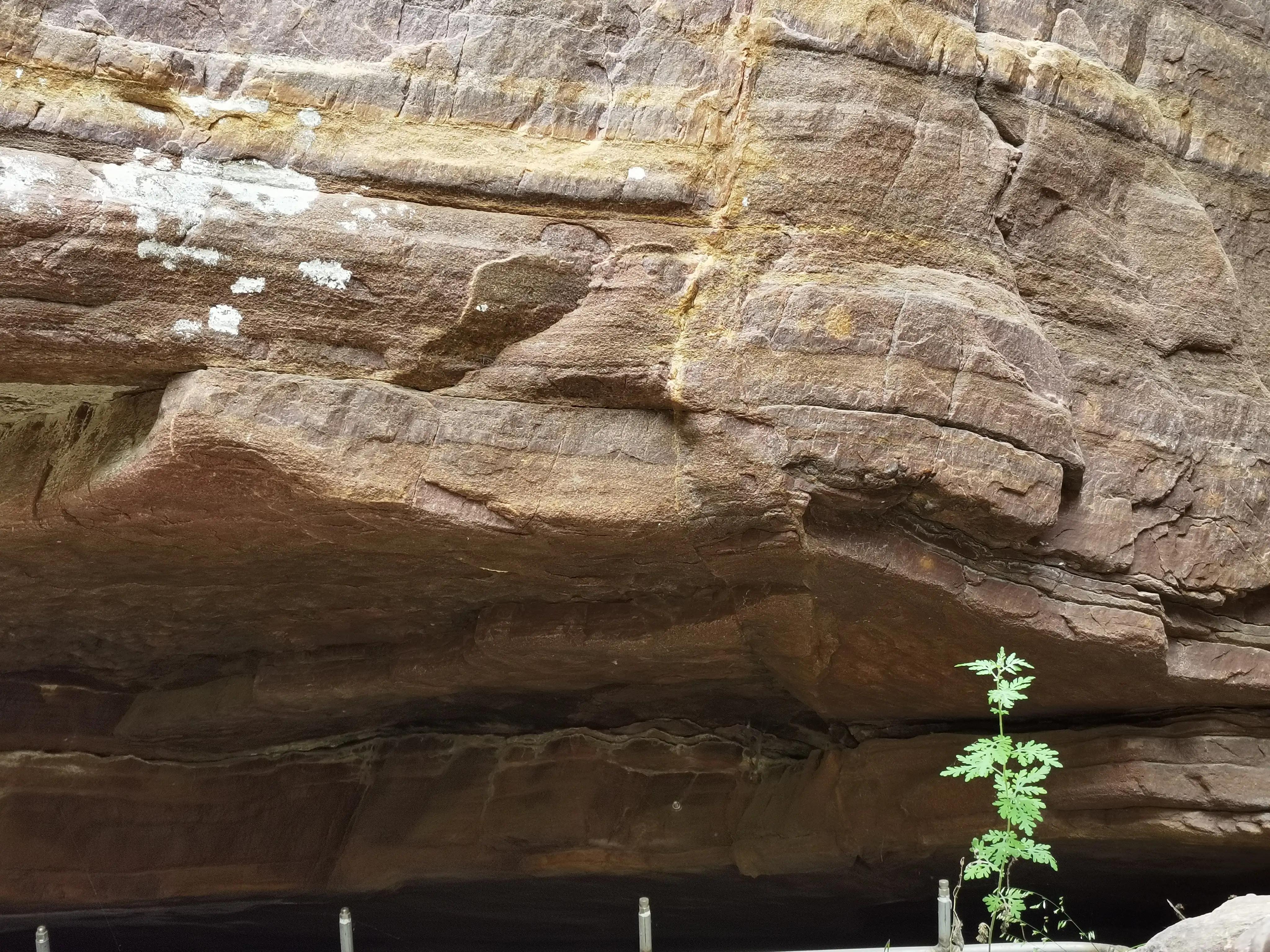 论语是最重要的儒家经典,论语在儒家经典中的地位