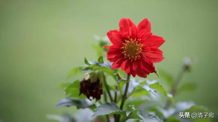 刚毕业大学生是租房还是首付买房,刚刚毕业的大学生该怎么创业