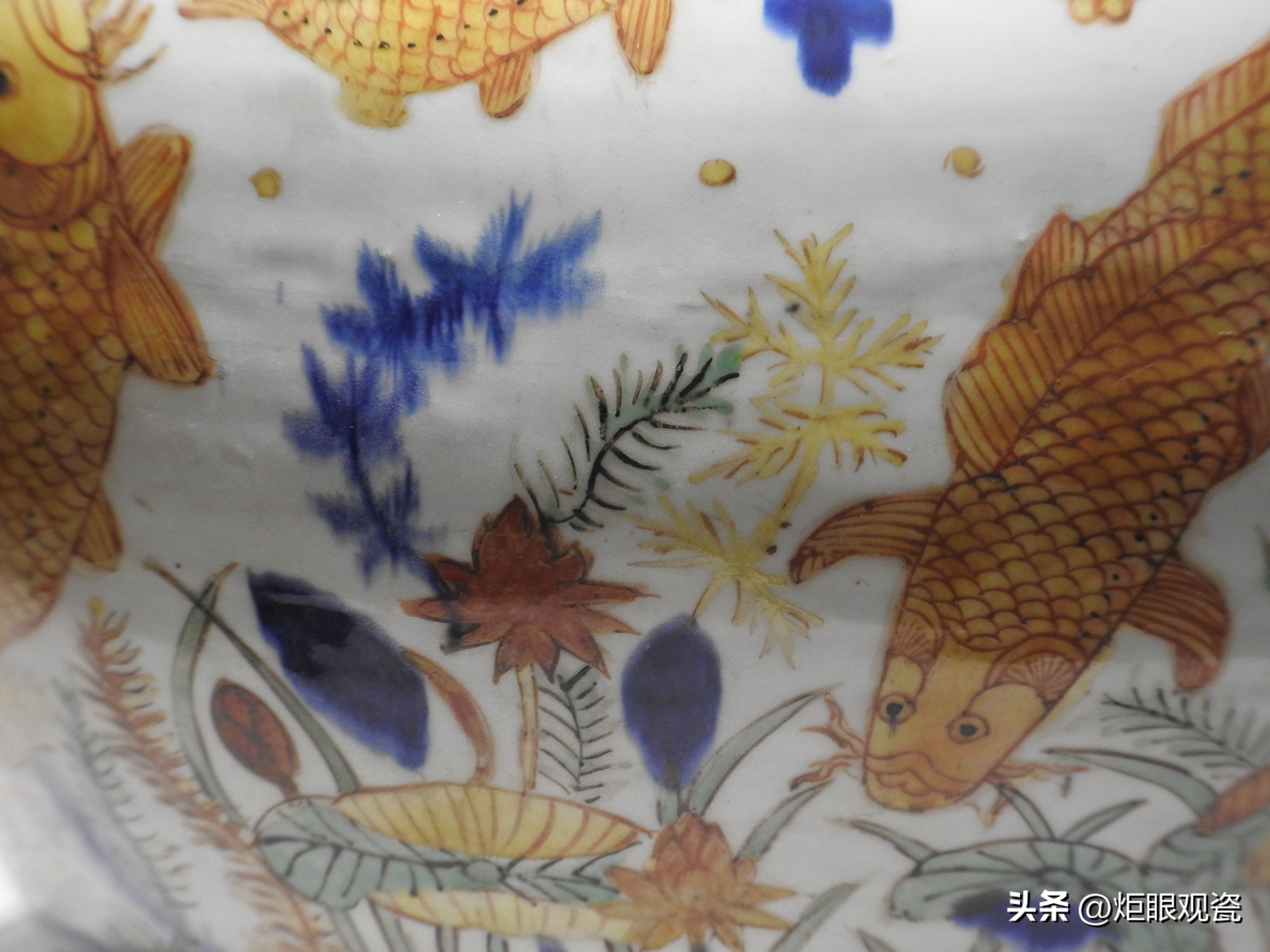 鱼乐其中——细观嘉靖五彩鱼藻纹罐的黄上红、翡翠绿、回石青