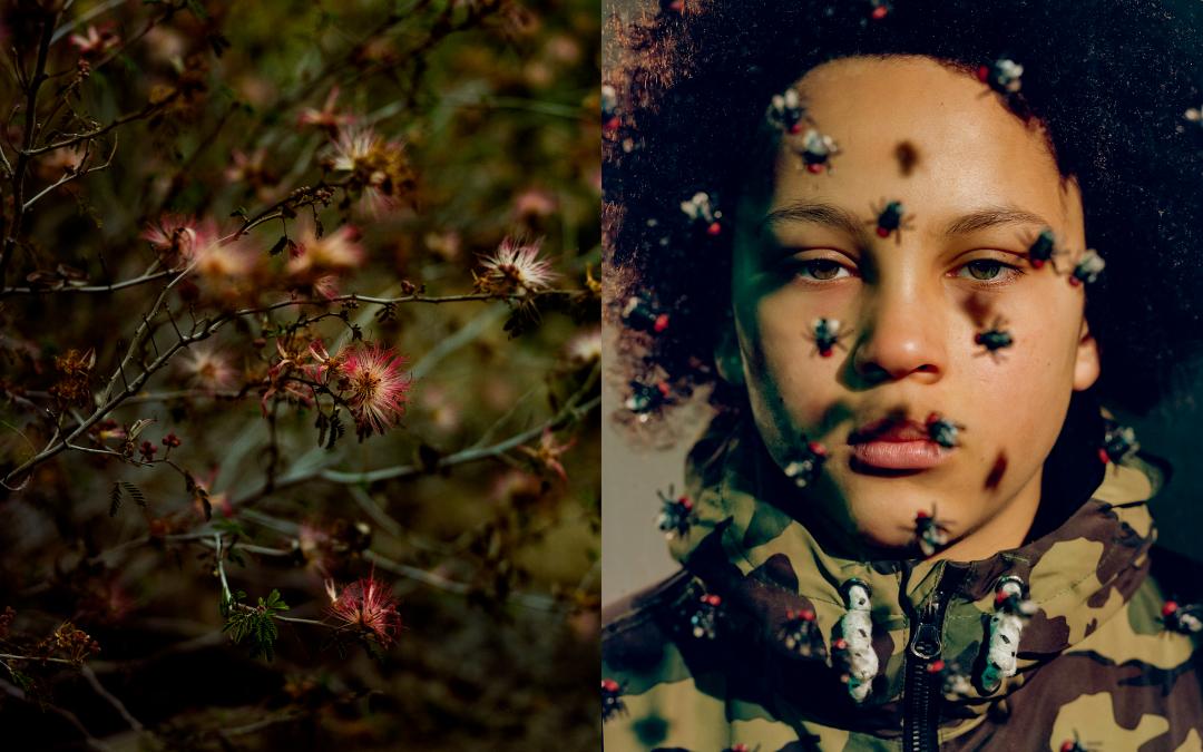 2022索尼摄影大赛征稿,2022索尼世界摄影大赛