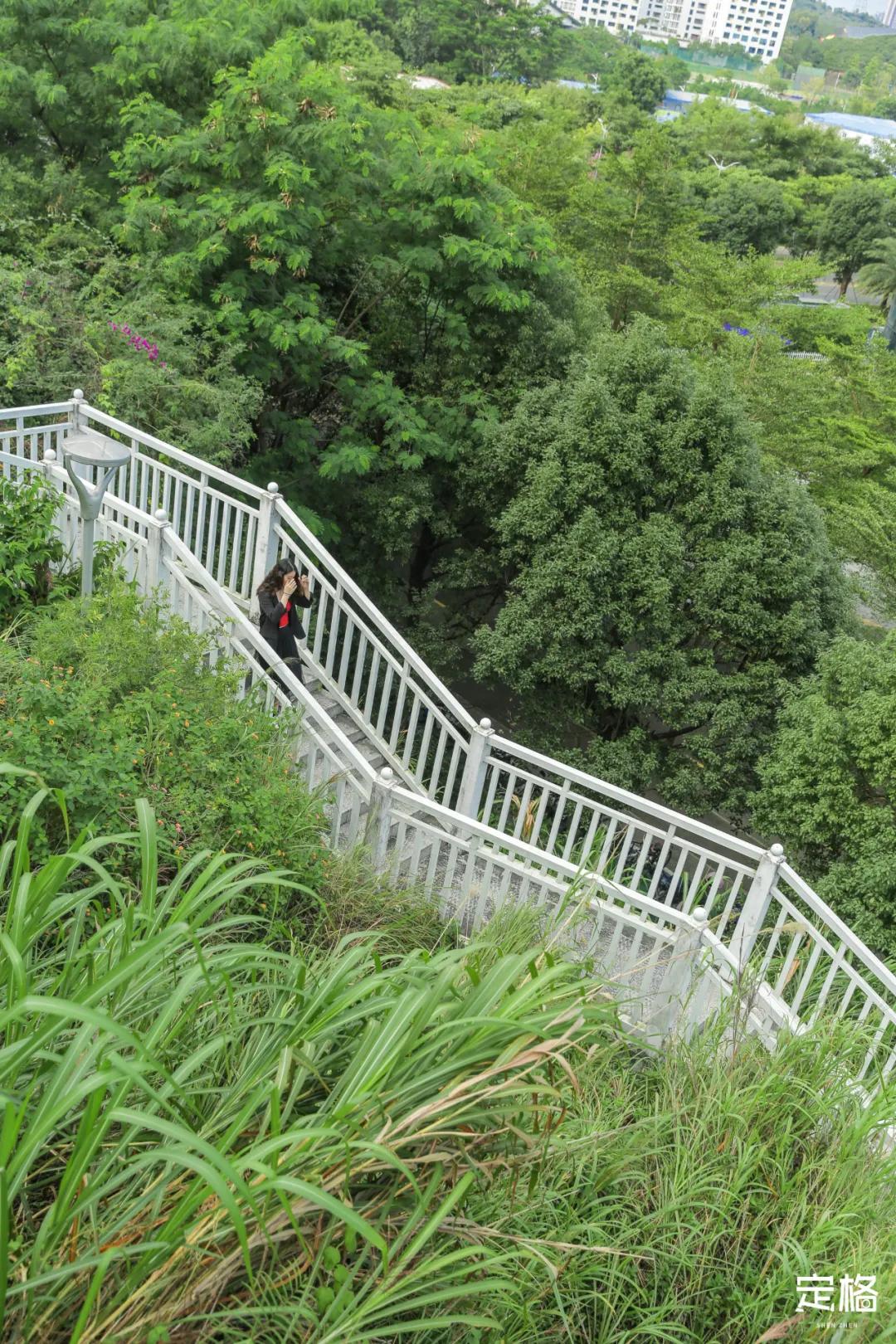 深圳百米长「纯白登山梯」，打卡绝了