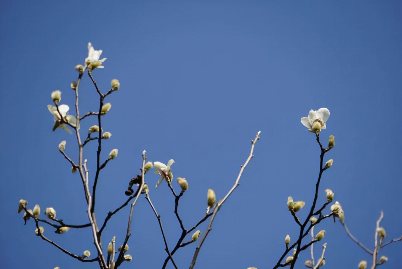 征服男人最好的四个方式,征服男人的最好方式