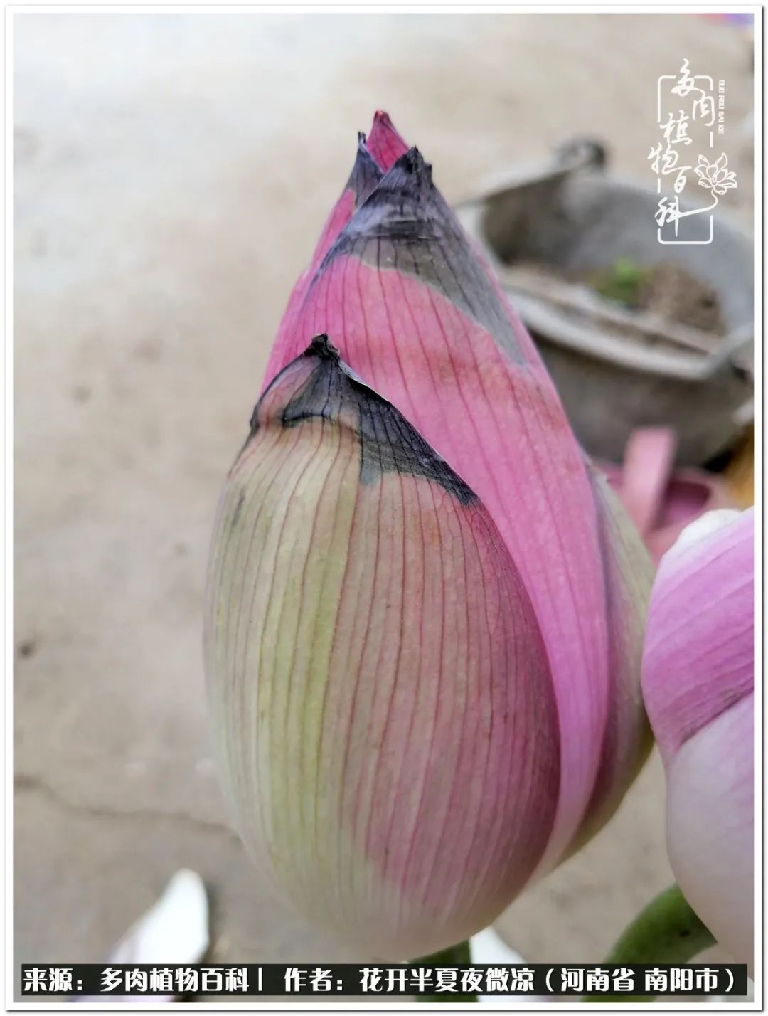 万事开头难只要坚持才有收获,万事开头难只要肯干就会有结果