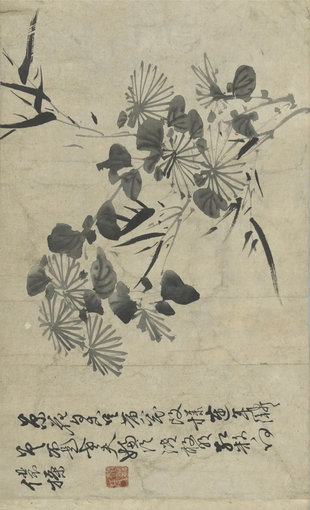 慕容看世界的视频,慕容看世界所有视频