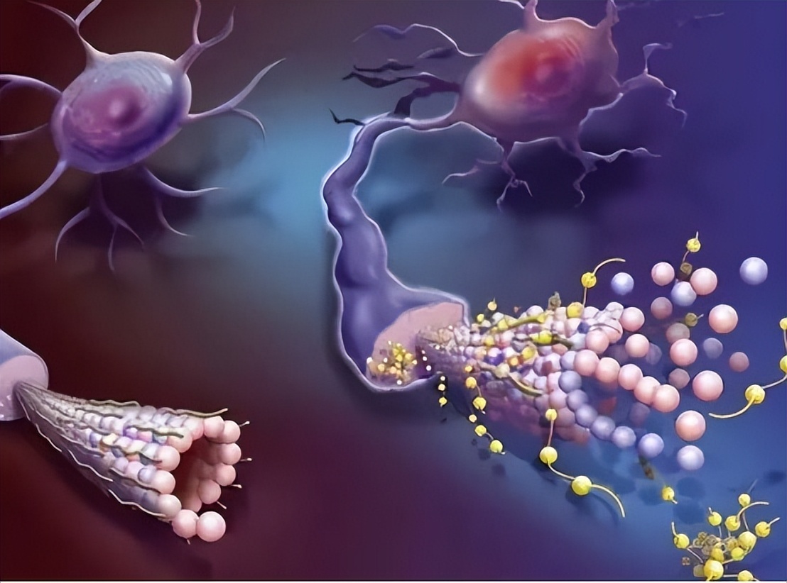 牙龈纤维瘤是肿瘤吗,牙龈纤维瘤会遗传给下一代吗